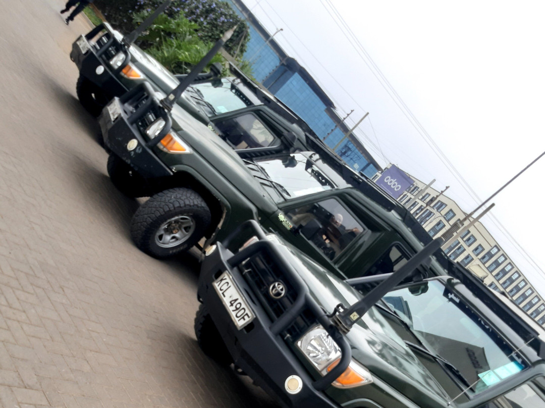 Twinkle Star Tours and Safaris Ltd