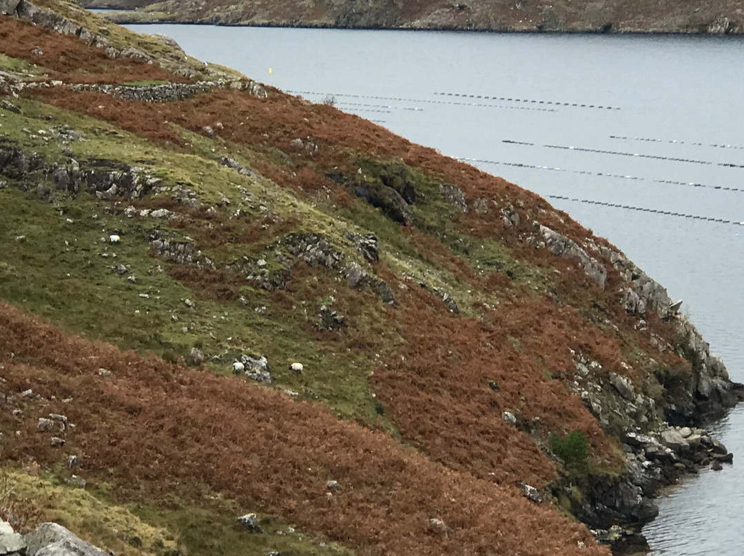 克利夫登站酒店