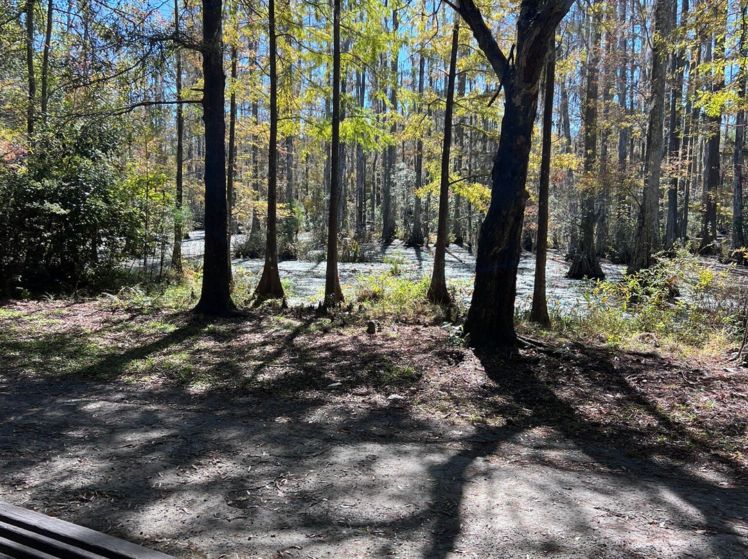 Cypress Gardens-蒙克斯科纳必去景点