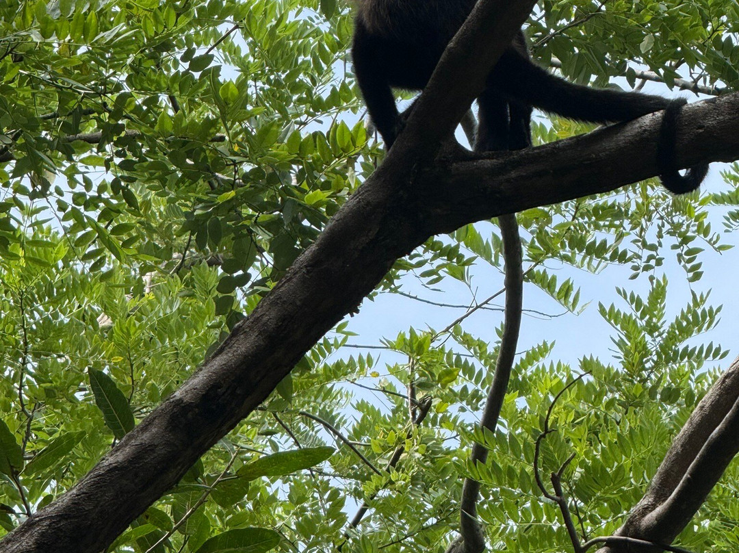 Piko Travel-艾拉杜拉必去景点