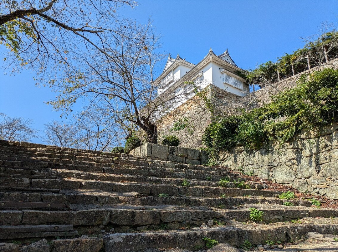 Tsuyama Castle (Kakuzan Park)-津山市必去景点