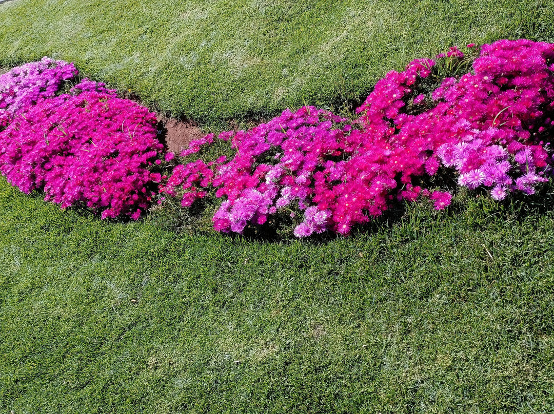 The Corniche滨海大道-卡萨布兰卡必去景点