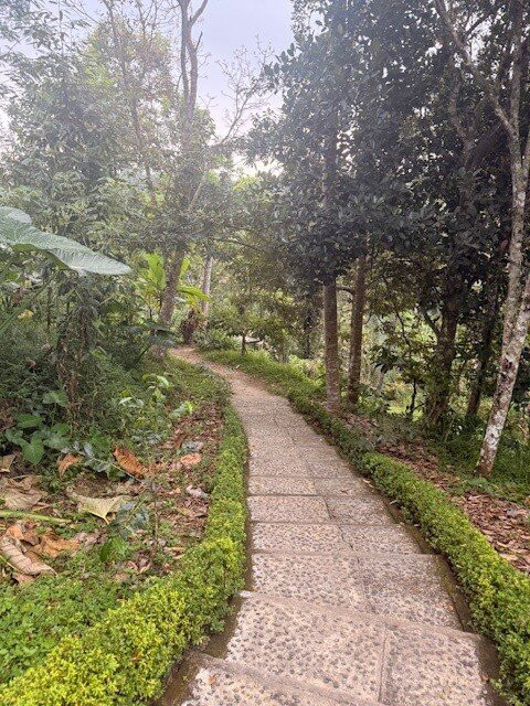 Leke Leke Waterfall-巴图瑞提必去景点