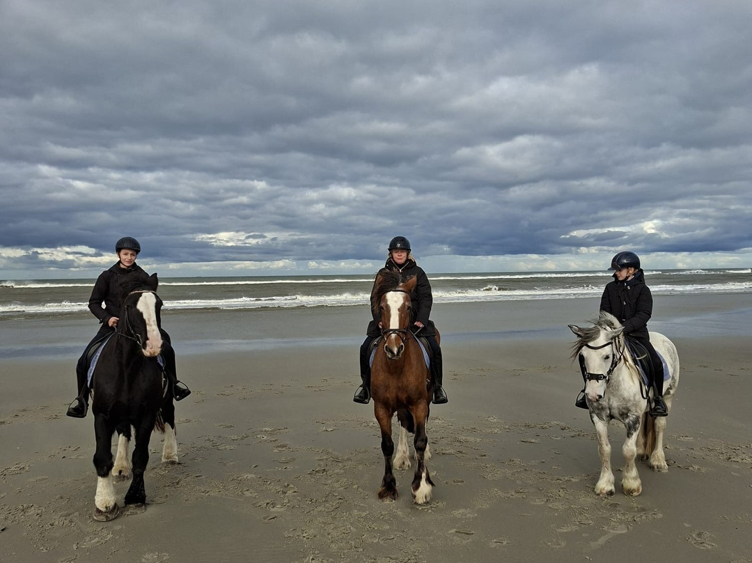 Rijstal Le Cheval-Ballum必去景点