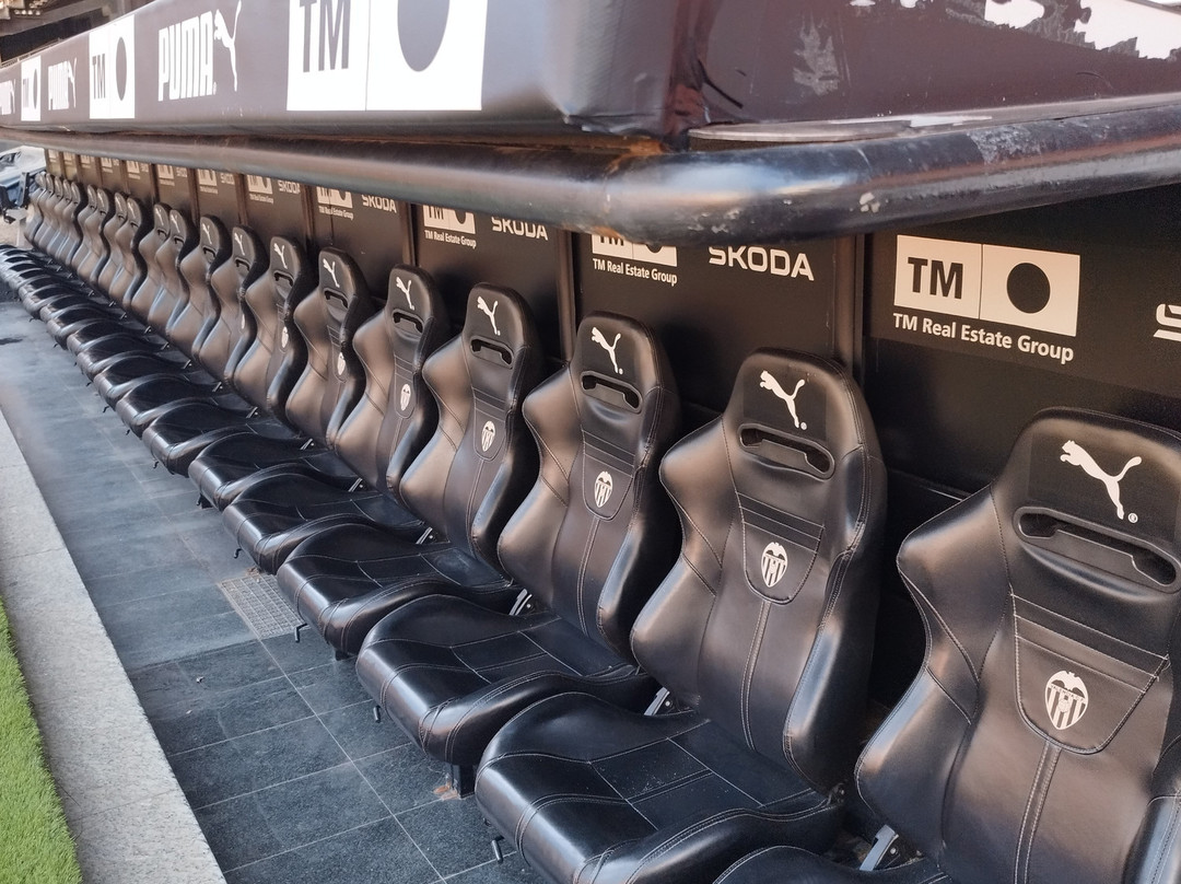 Estadi De Mestalla-巴伦西亚必去景点