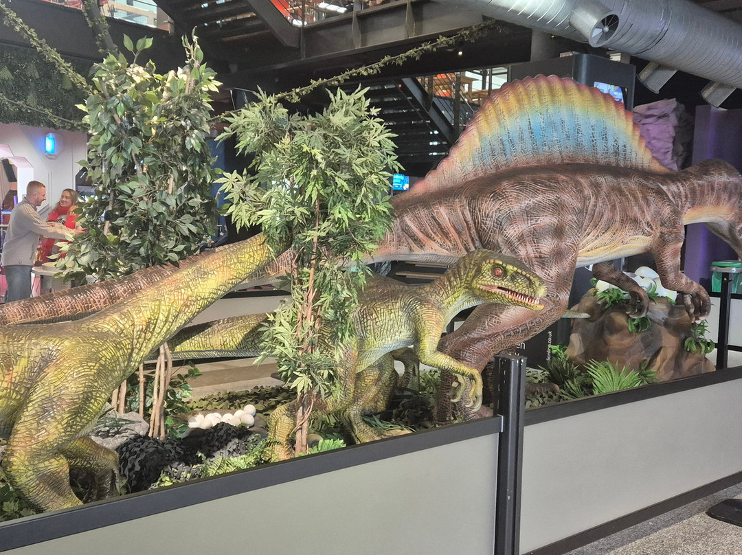 W5-贝尔法斯特必去景点