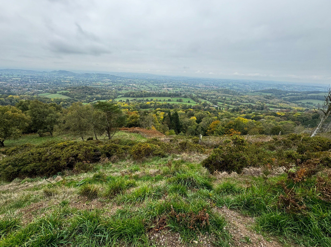 Treherne House & The Malvern Retreat主图