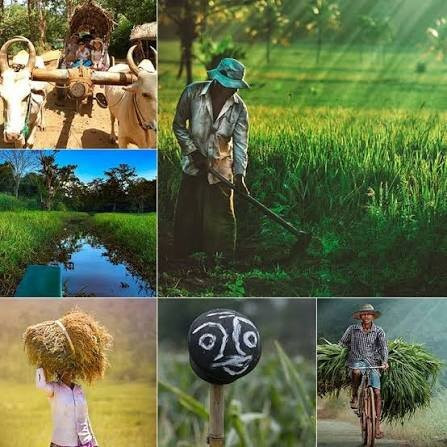 Hiriwadunna Village & Jeep Safari No 4-Hiriwadunna必去景点