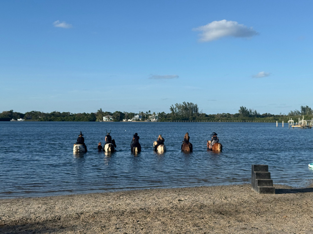 Florida Beach Horses-布雷登顿必去景点