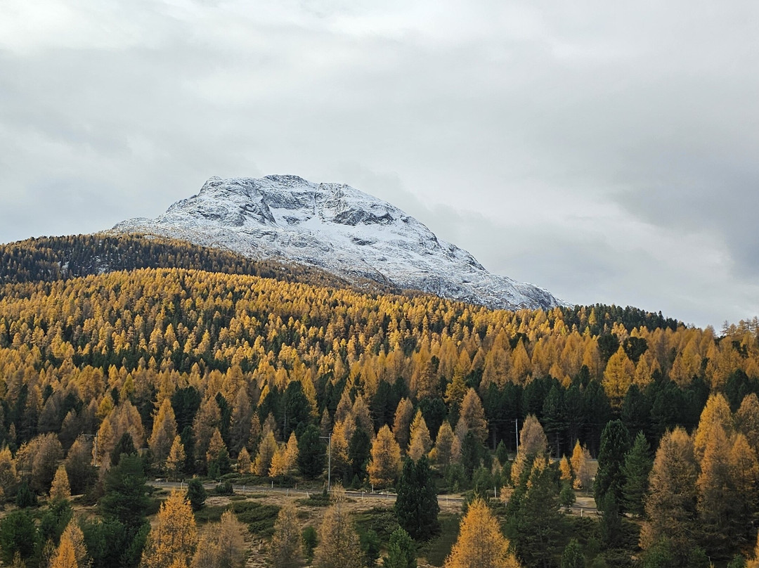 Hotelino Petit Chalet主图
