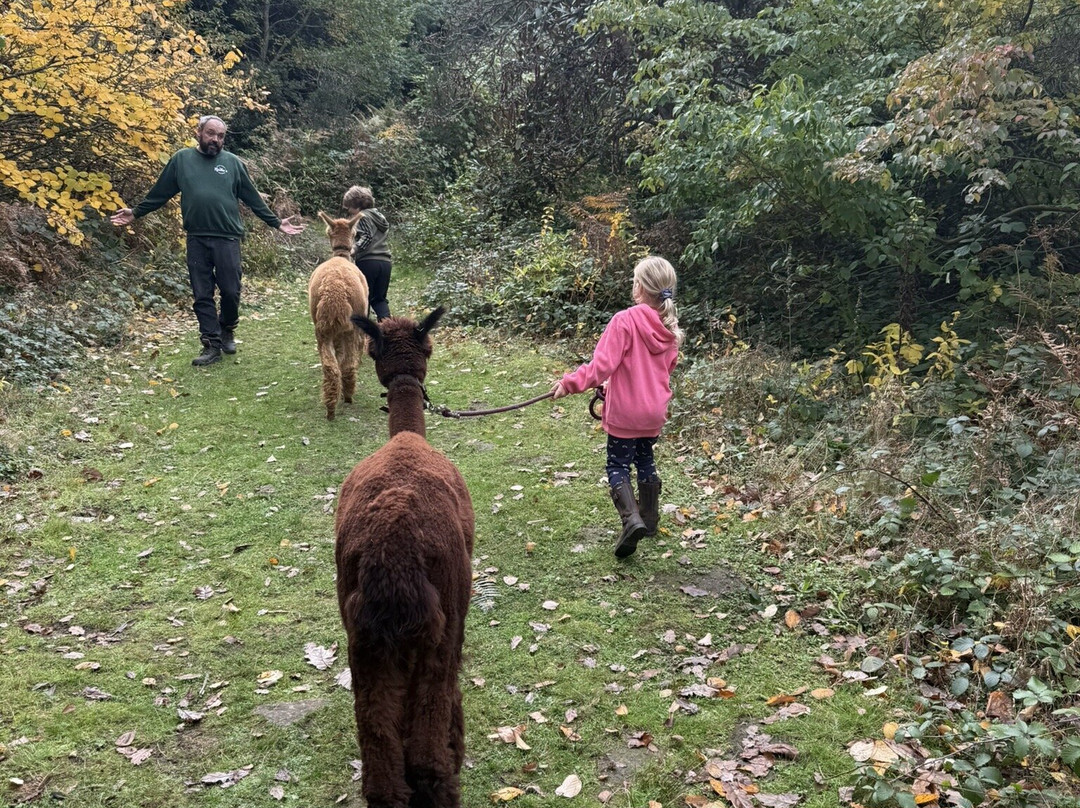 Reuthe's The Lost Gardens Of Sevenoaks-Sevenoaks必去景点