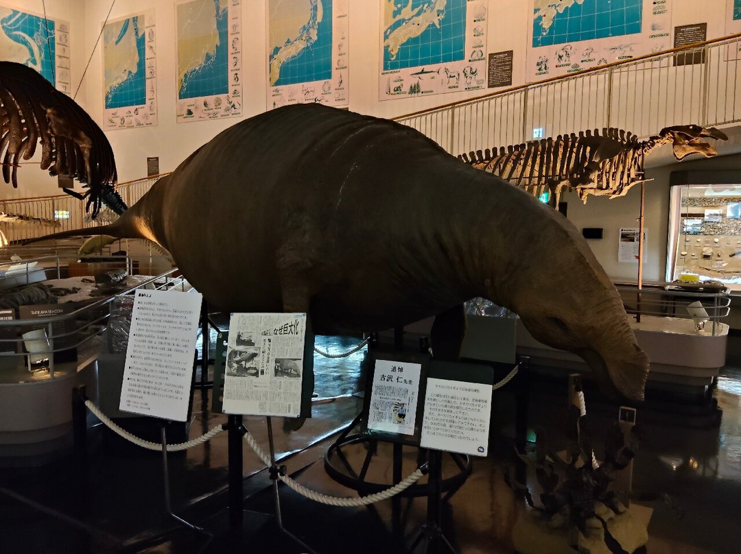 Takikawa Museum of Art and Natural History-泷川市必去景点