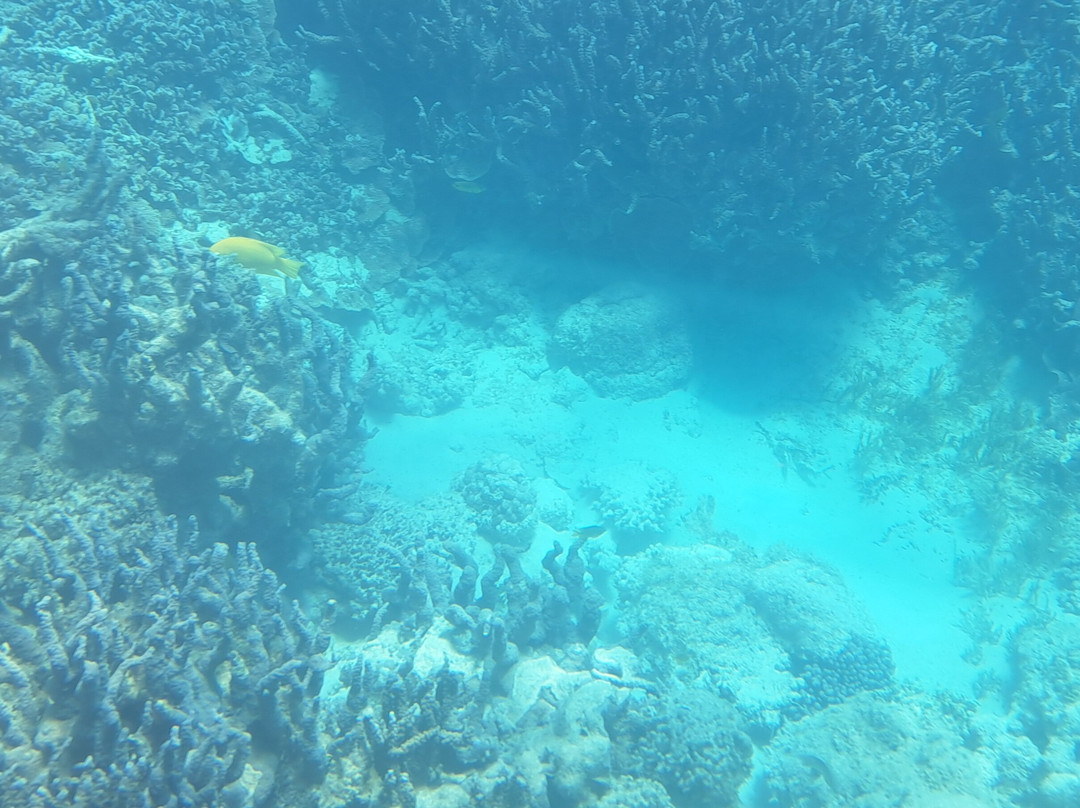 View Ningaloo-埃克斯茅斯必去景点