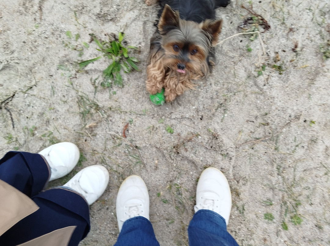 Pointe du Conguel-基伯龙必去景点