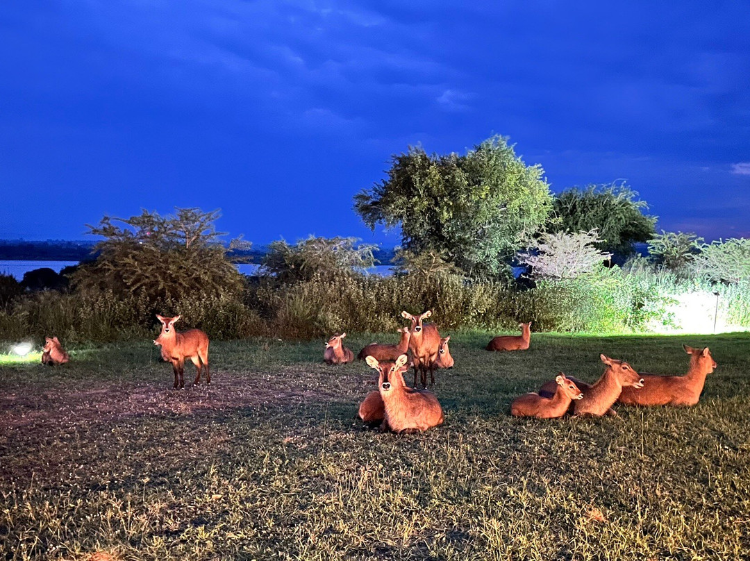 Achieve Global Safaris-坎帕拉必去景点