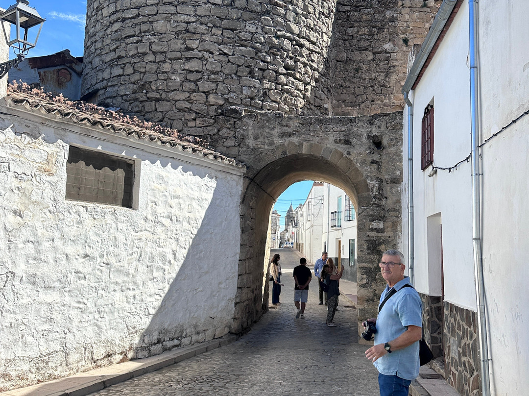 Castillo de Sabiote-Sabiote必去景点