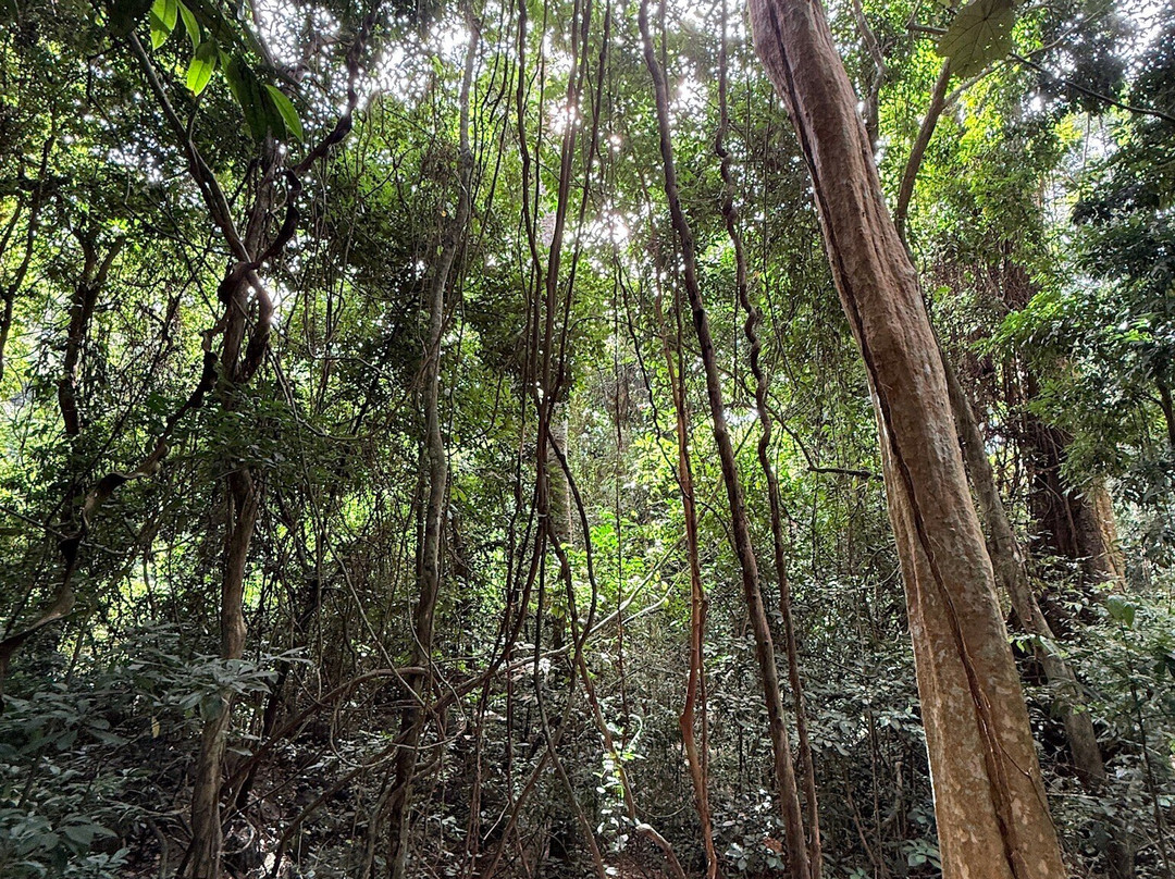 Chan Ta Then Waterfall-Bang Phra必去景点