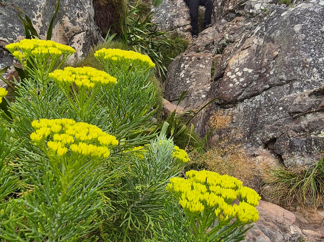 Like 2 Hike-桌山国家公园必去景点