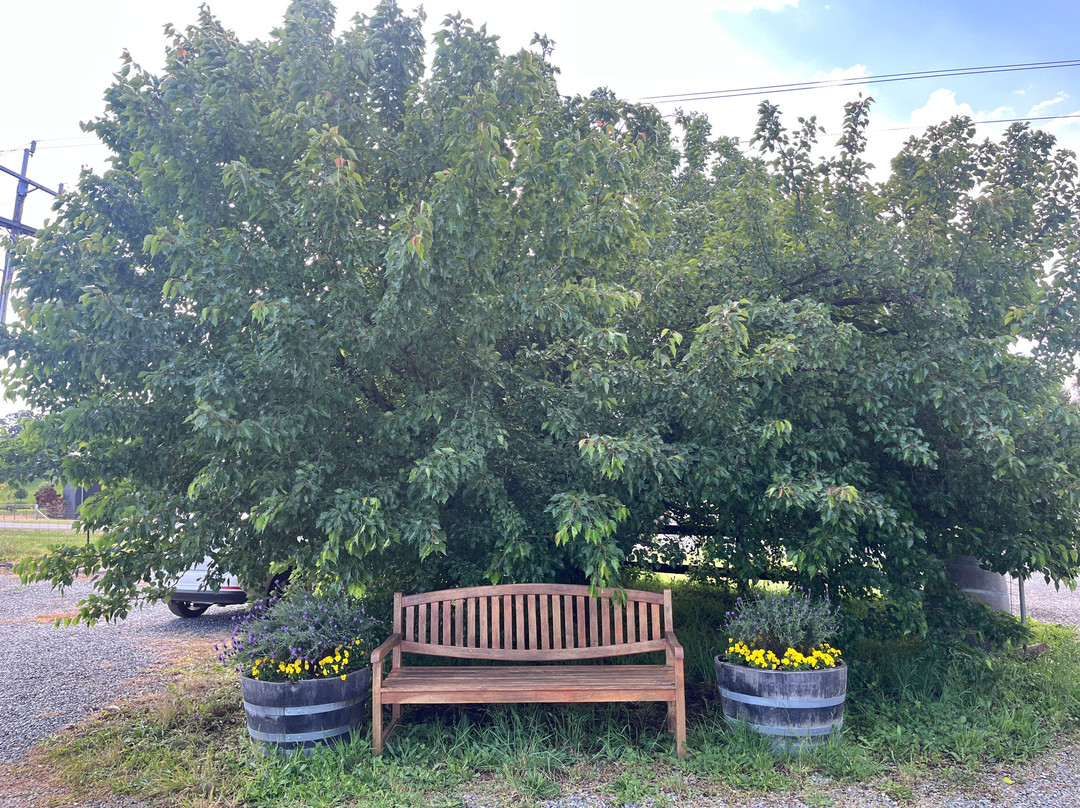 Dindima Wines-Nashdale必去景点