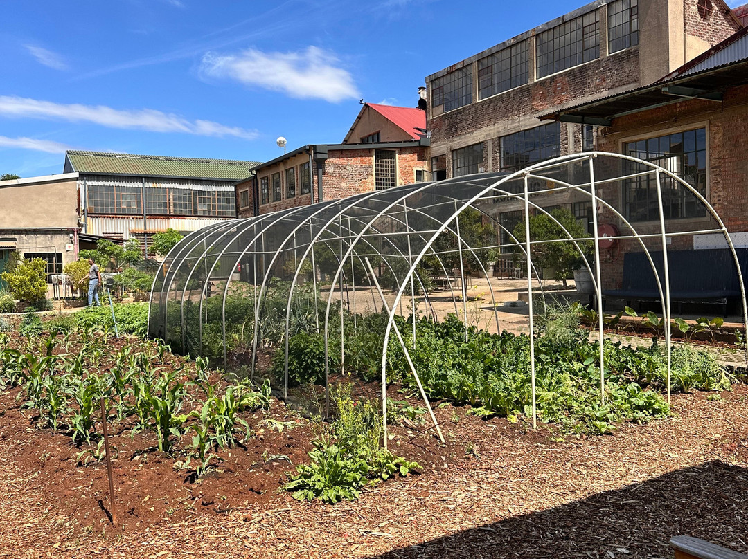 Victoria Yards-约翰内斯堡必去景点