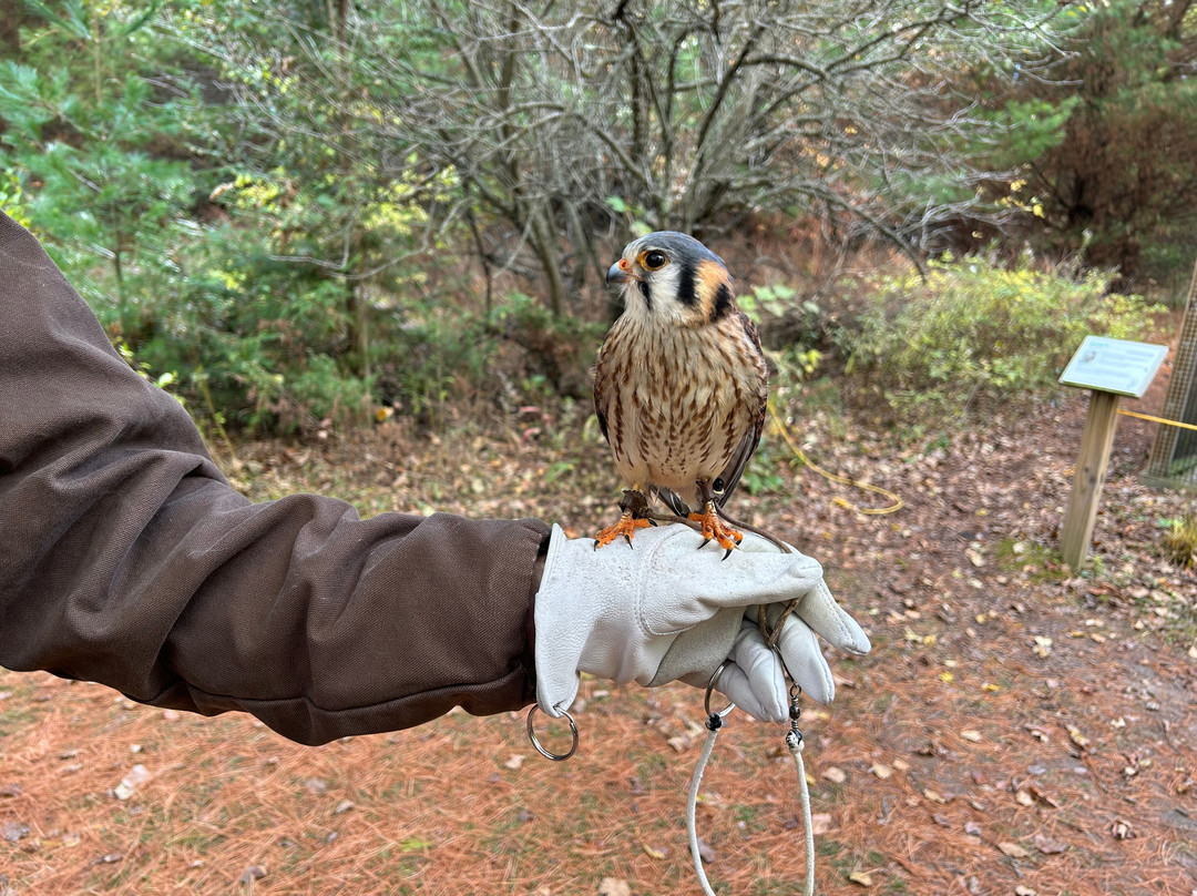 Open Door Bird Sanctuary-Jacksonport必去景点