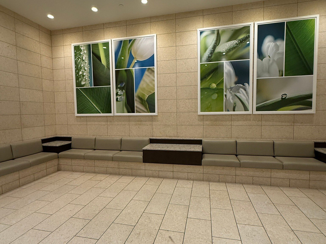 The Mall At University Town Center-萨拉索塔必去景点