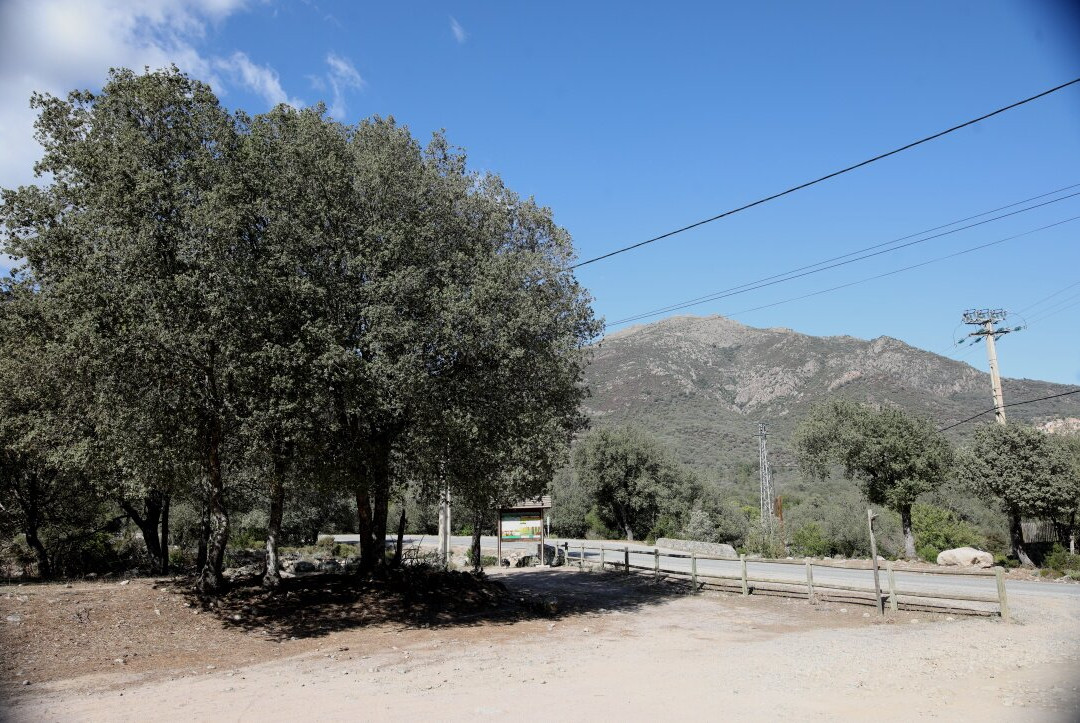 Forêt communale de Moltifao-Moltifao必去景点