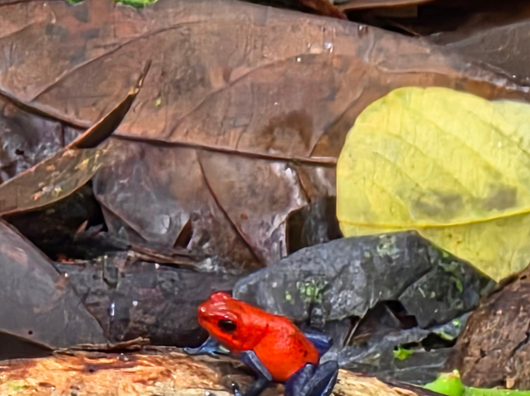 C. R. Referrals Travel-Atenas必去景点