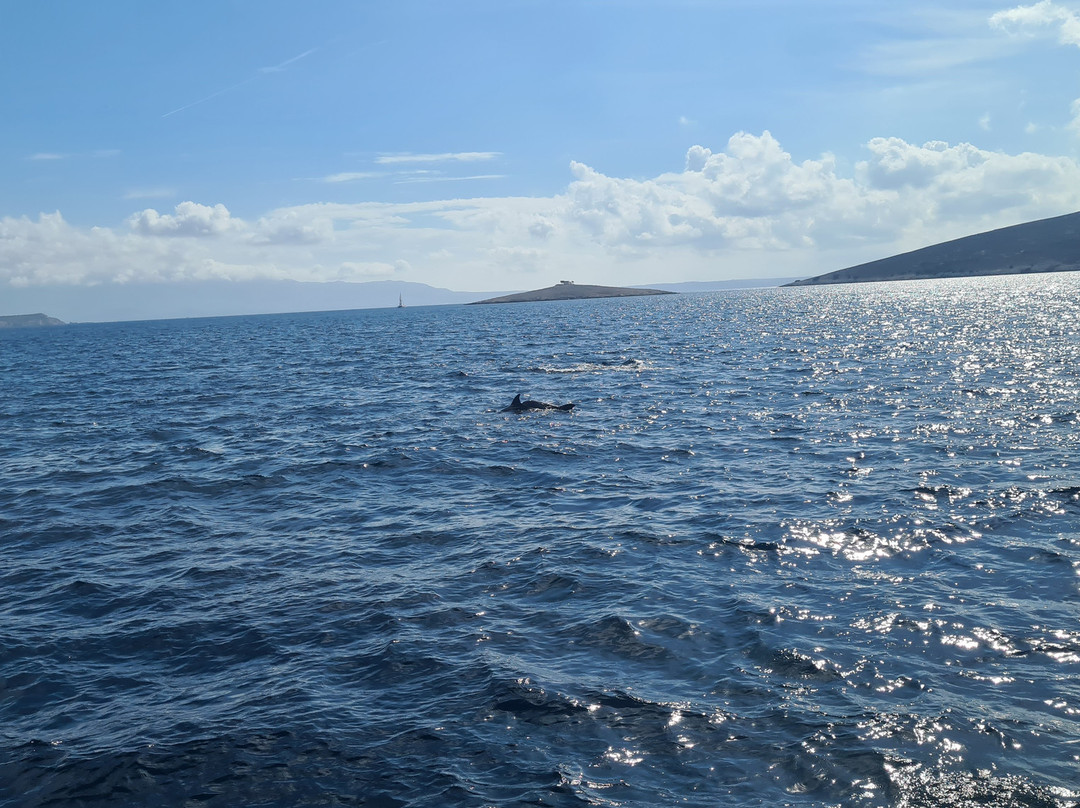 Katerina 3 Island Cruise-Kos Town必去景点