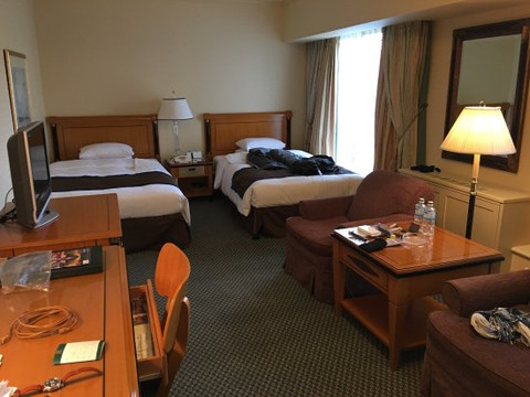 RIHGA Royal Hotel Osaka, Vignette Collection主图