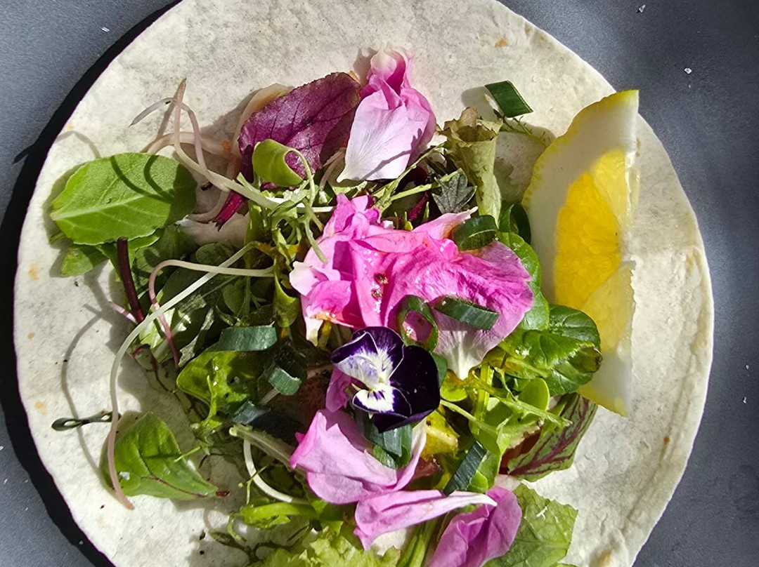 Ruta Nativa Chile-圣佩德罗-德阿塔卡马必去景点