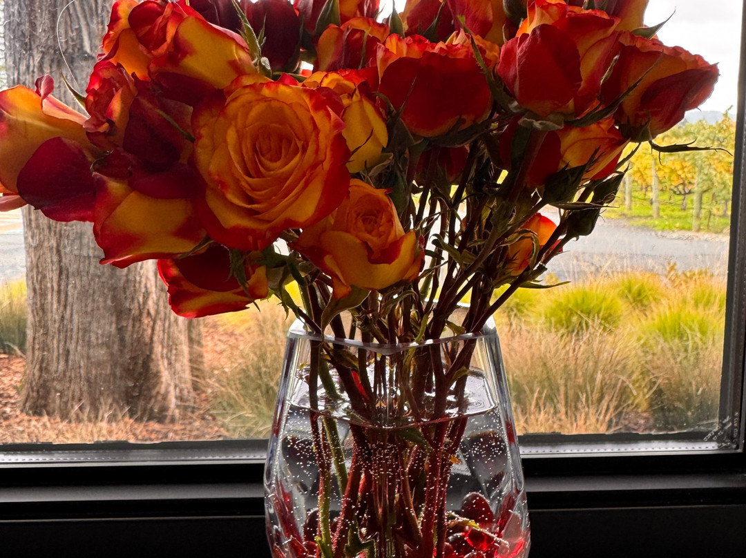 Foley Johnson Winery-拉瑟福德必去景点