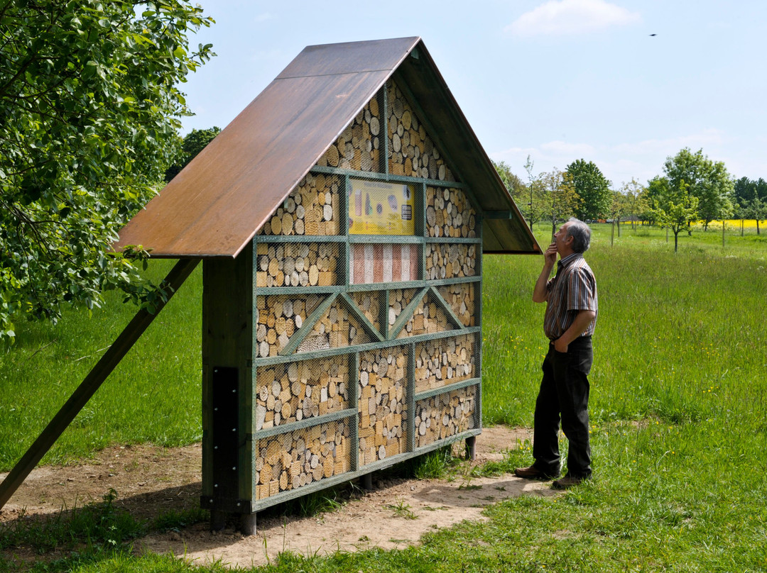 Litermont-Gipfel-Tour-Nalbach必去景点