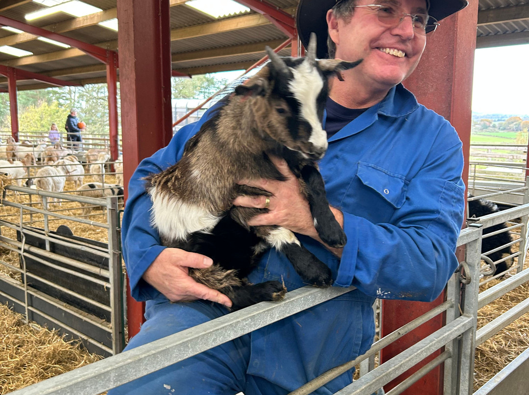 Dalscone Farm Fun-邓弗里斯必去景点