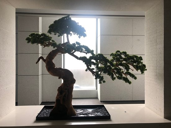 摩泽酒店主图