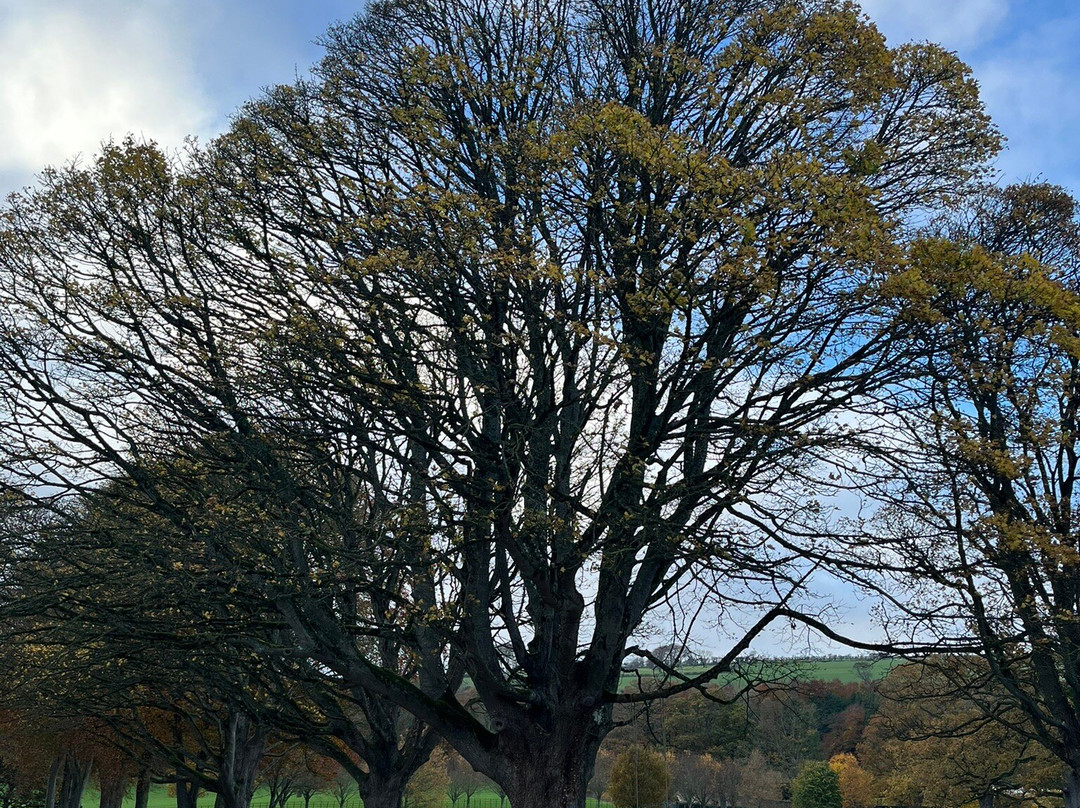 Glenarm Castle-Glenarm必去景点