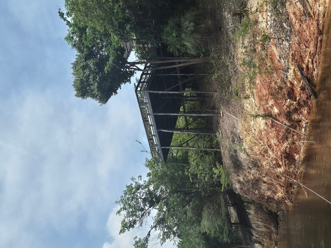 Amazon Antonio Jungle Tours-玛瑙斯必去景点