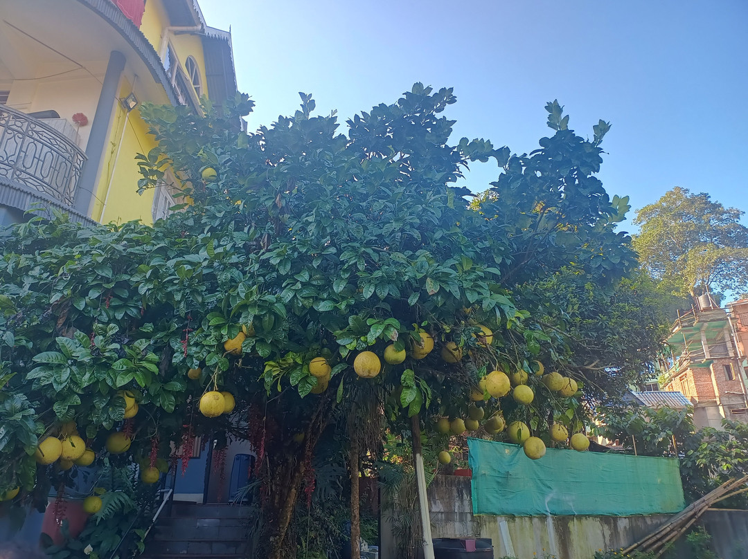 Sood's Himalayan Vista主图