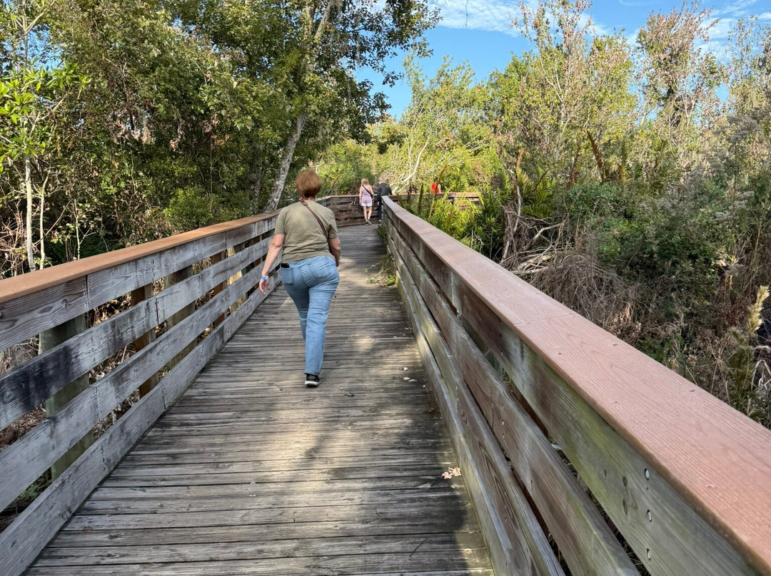 Boyd Hill Nature Preserve-圣彼德斯堡必去景点