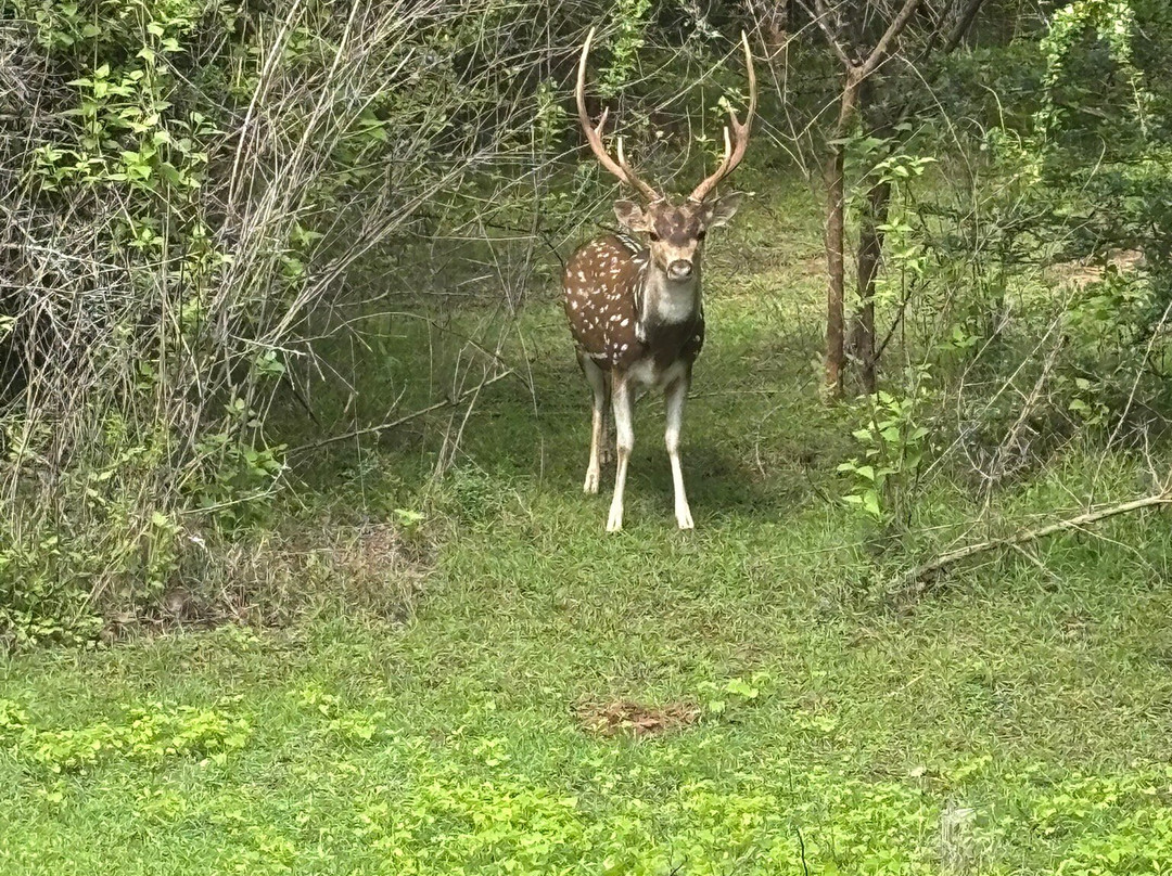 Akarshana Tours-埃勒必去景点