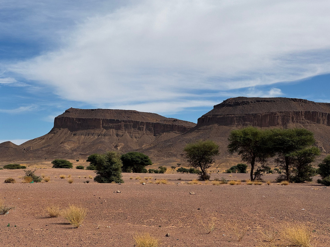 Morocco DailyXplore Tours-卡萨布兰卡必去景点