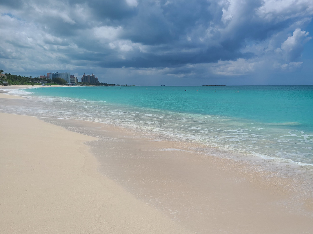 Paradise Island Beach Club主图