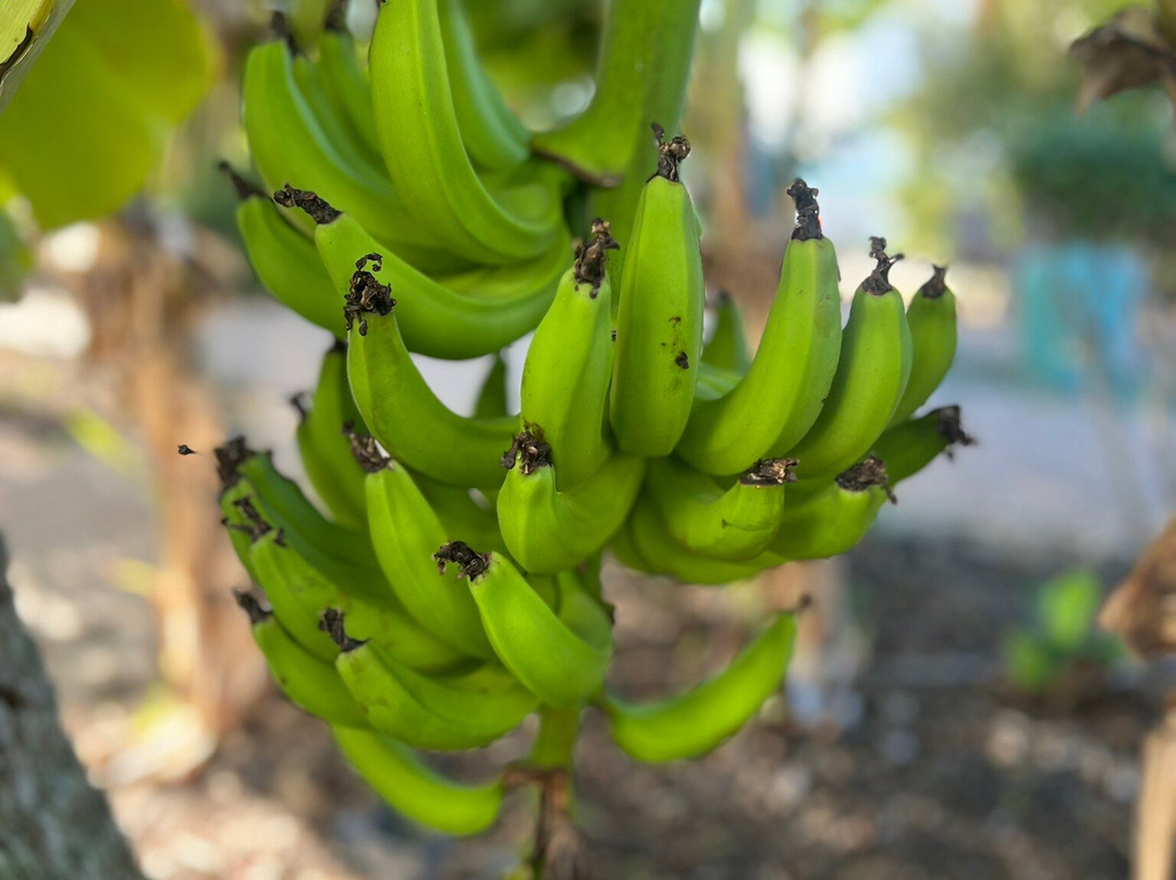 奥尔德马可岛旅馆及套房酒店主图