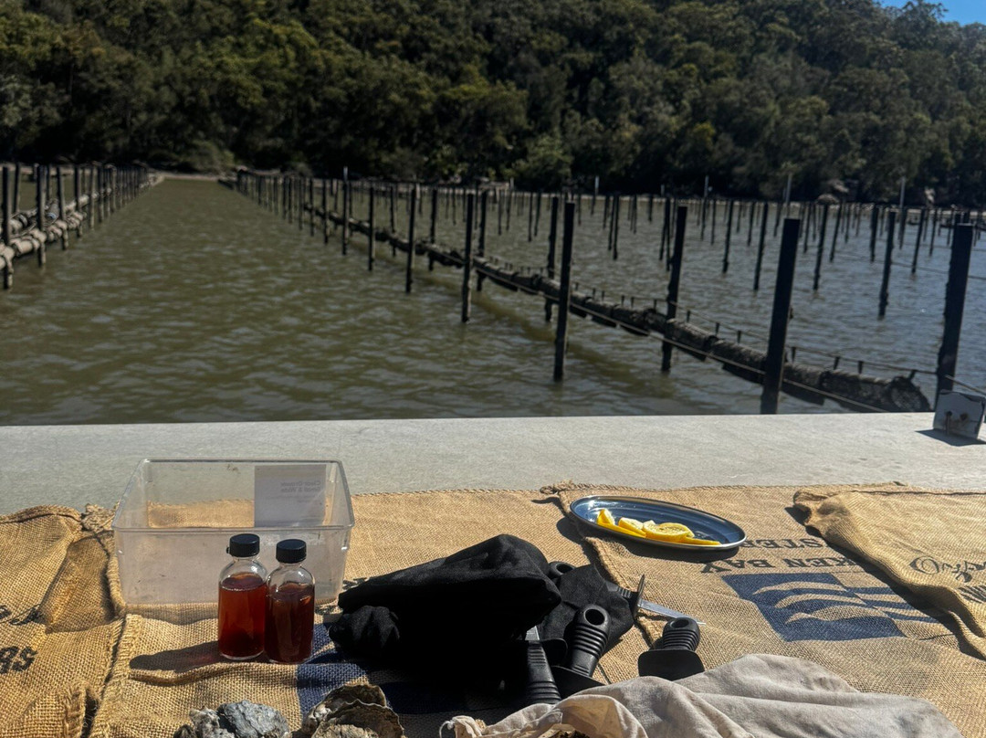 Sydney Oyster Farm Tours-Mooney Mooney必去景点