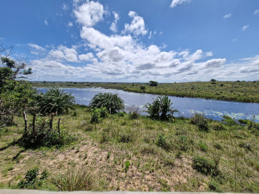 伊西曼格利索湿地公园-圣露西亚必去景点