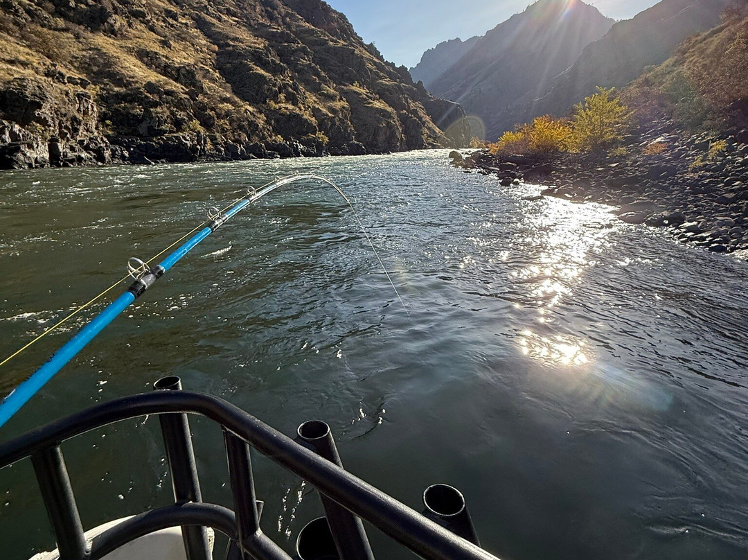 Killgore Adventures Hells Canyon Jet Boat Trips & Fishing Trips-White Bird必去景点