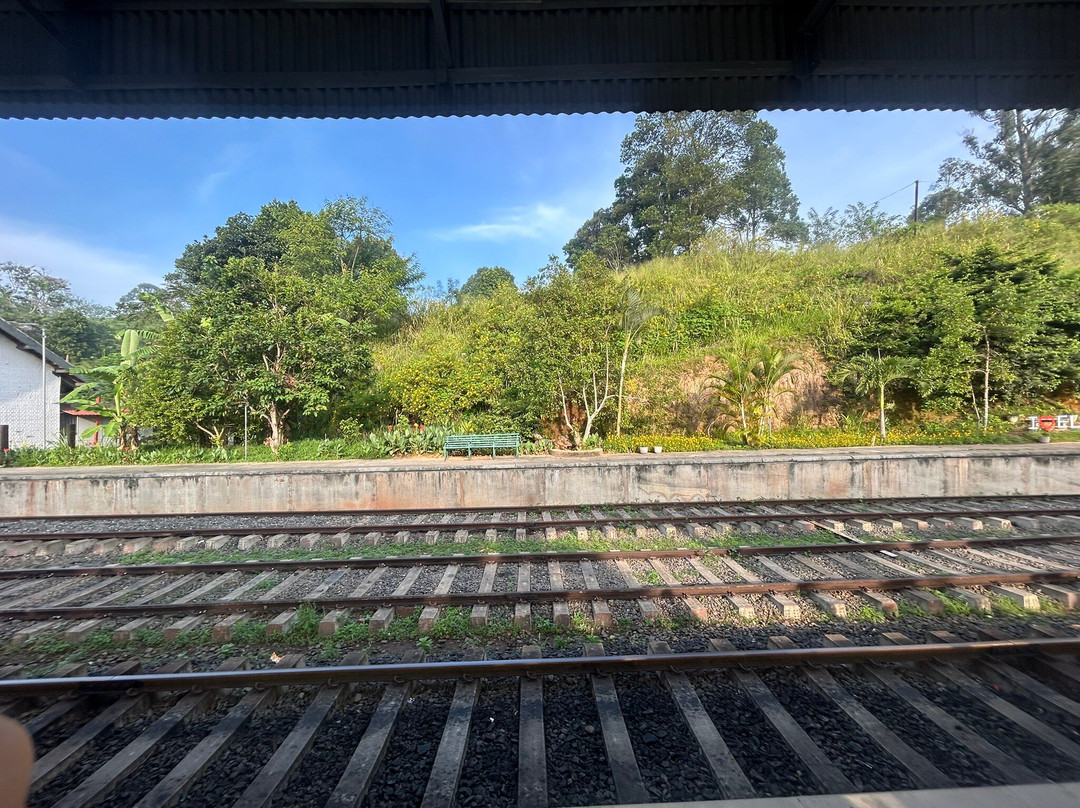 Big Brother Tours And Travels-亚洪加拉必去景点