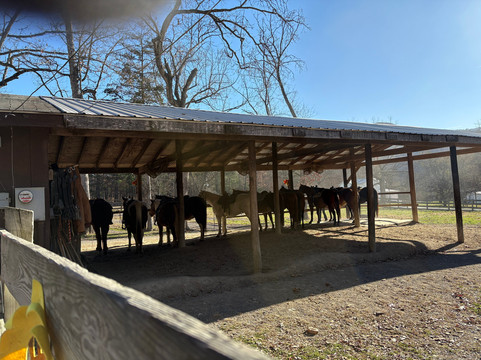 Fort Valley Ranch-Fort Valley必去景点