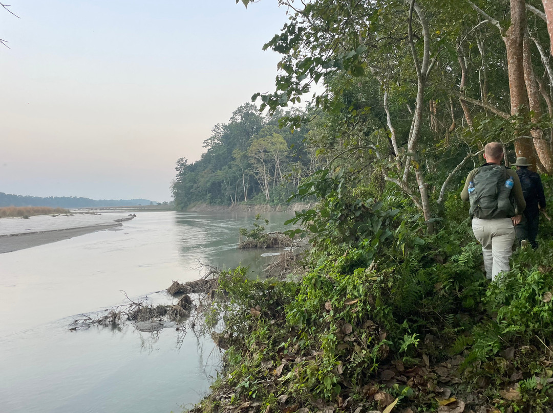 Nepal Dynamic Eco Tours & Services-奇旺国家公国必去景点