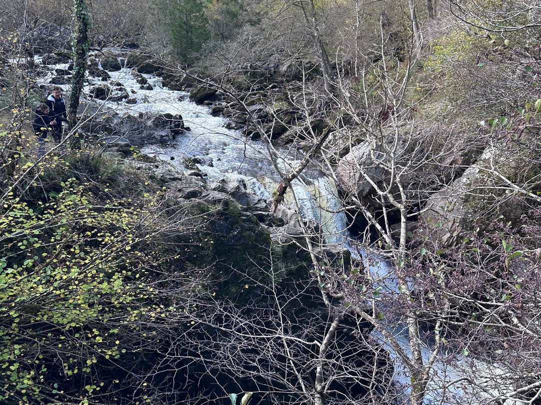 The Hermitage-Dunkeld必去景点